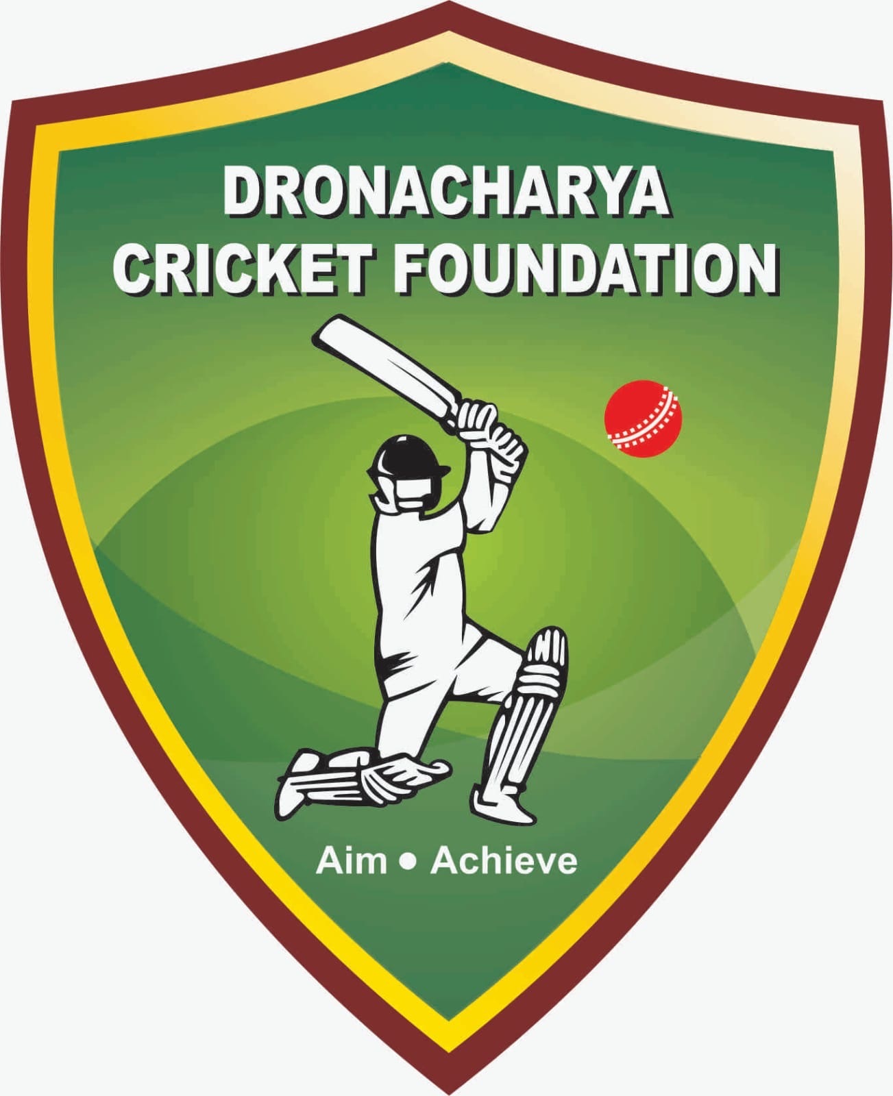 Dronacharya Cricket Foundation