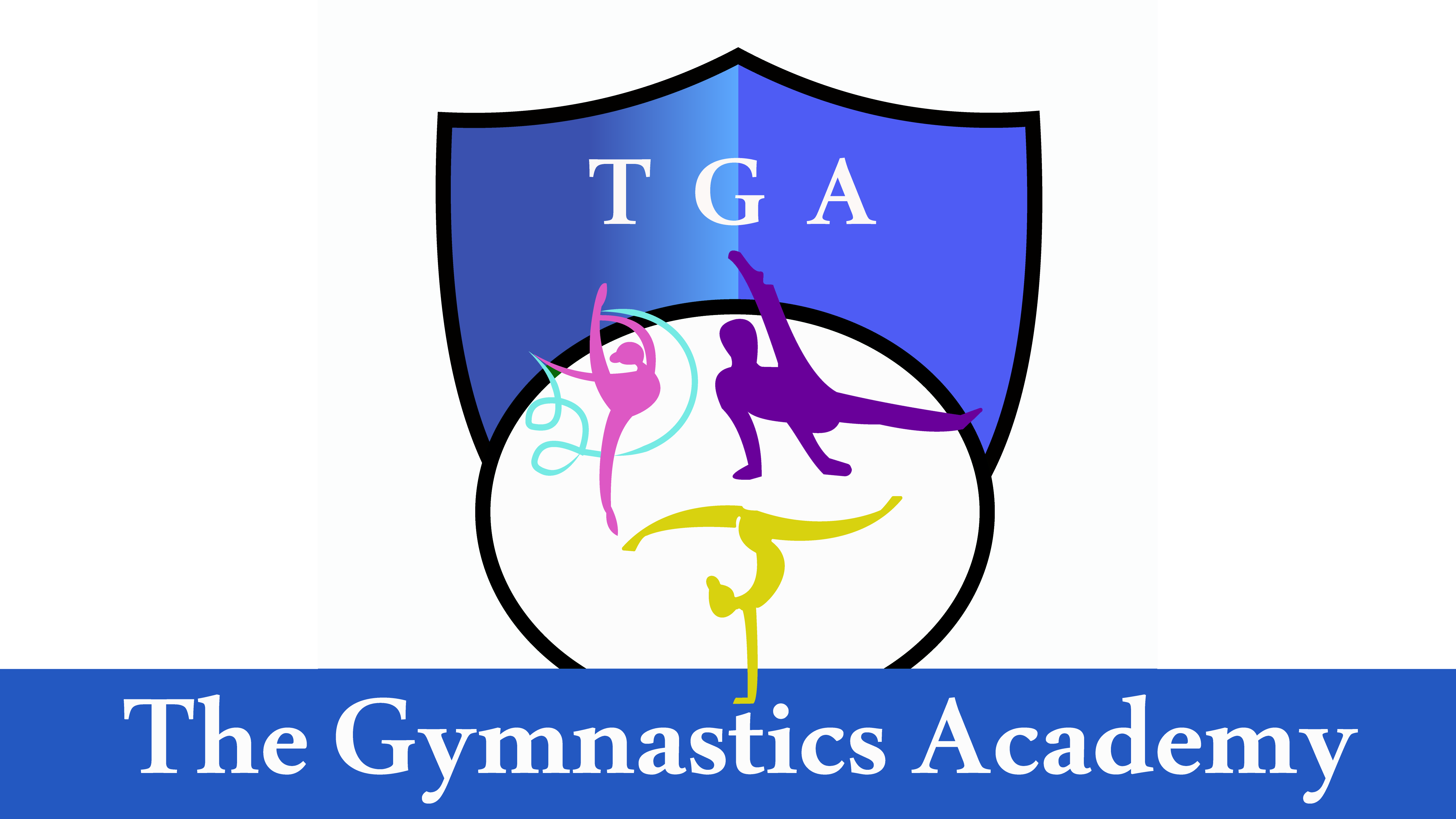The Gymnastics Academy